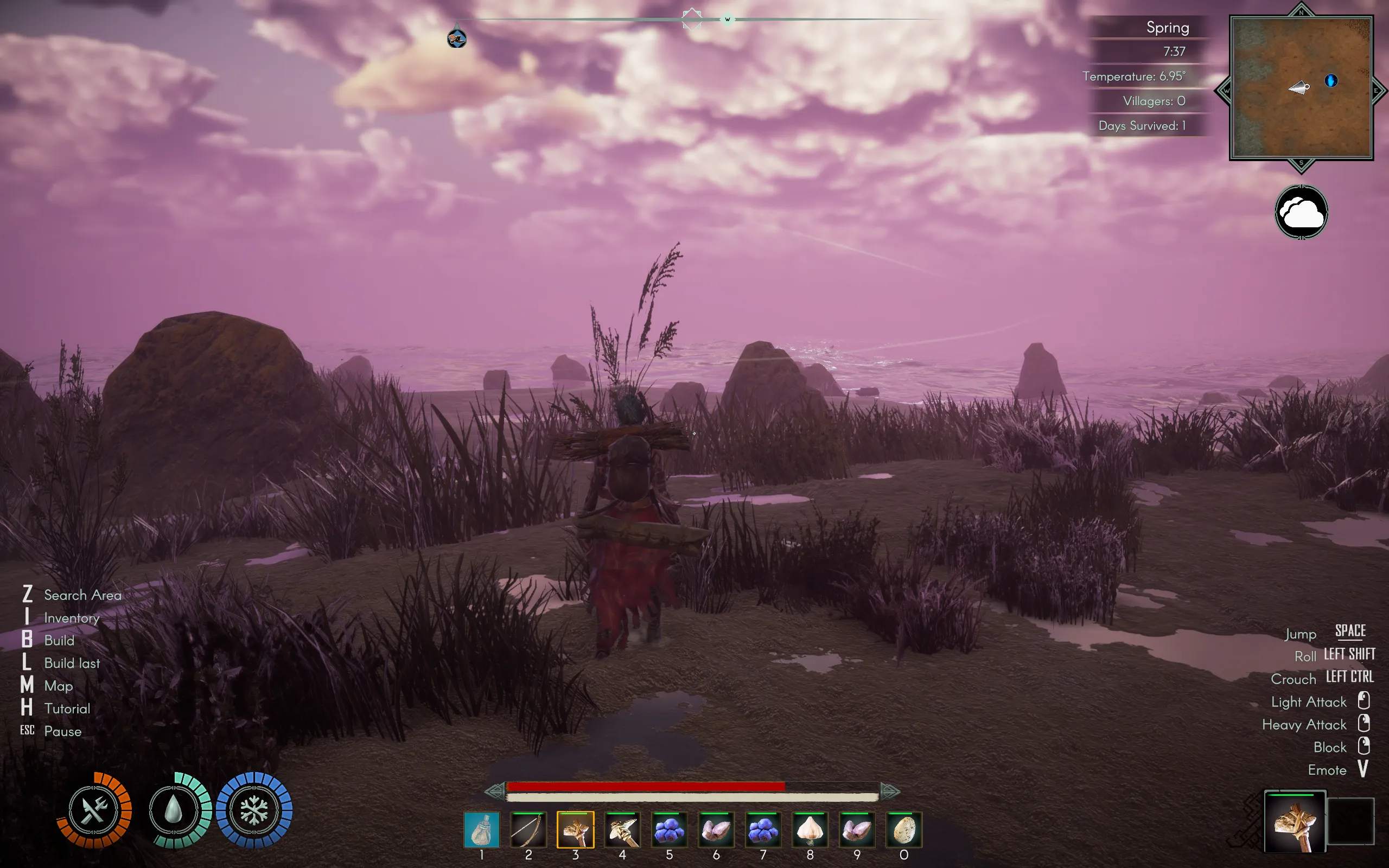 A woman stands on a beach at sunset